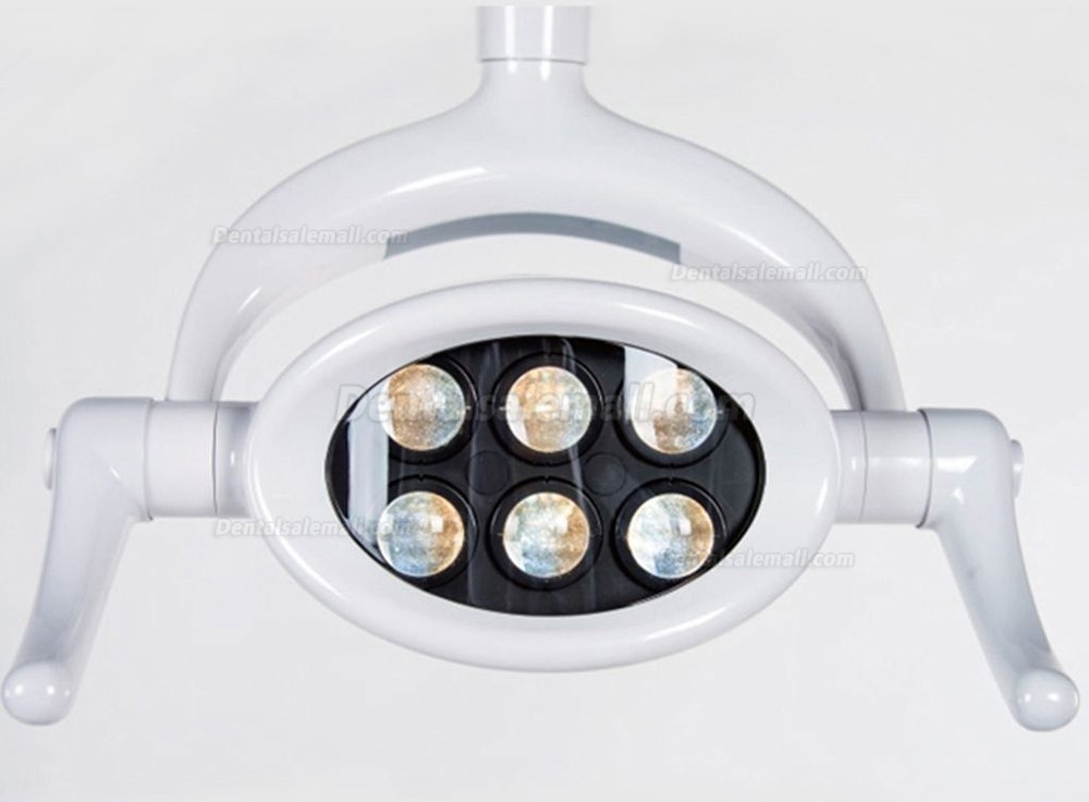 Saab P103A 20W Dental Shadowless Oral Light Lamp Floor Standing Type